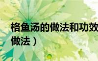 格鱼汤的做法和功效（10月21日格鱼炖汤的做法）