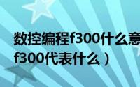 数控编程f300什么意思（10月21日数控编程f300代表什么）