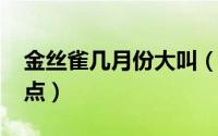 金丝雀几月份大叫（10月22日金丝雀鸟优缺点）