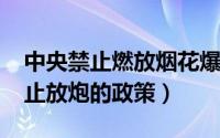 中央禁止燃放烟花爆竹（10月22日中央对禁止放炮的政策）