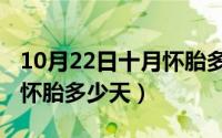 10月22日十月怀胎多少天了（10月22日十月怀胎多少天）