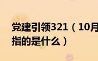 党建引领321（10月22日党建引领三网融合指的是什么）