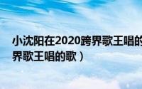 小沈阳在2020跨界歌王唱的什么歌（10月08日小沈阳在跨界歌王唱的歌）