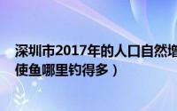 深圳市2017年的人口自然增长率为多少（10月22日龙鳞天使鱼哪里钓得多）