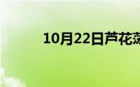 10月22日芦花荡（张飞及台词）