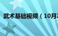 武术基础视频（10月23日武术基本功教程）