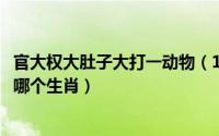 官大权大肚子大打一动物（10月23日官大权大肚子大是形容哪个生肖）