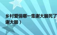 乡村爱情哪一集谢大脚死了（10月08日乡村爱情14大结局谢大脚）