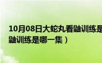 10月08日大蛇丸看鼬训练是哪一集啊（10月08日大蛇丸看鼬训练是哪一集）