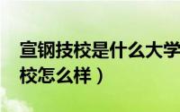 宣钢技校是什么大学（10月22日宣化宣钢技校怎么样）