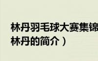 林丹羽毛球大赛集锦（10月08日羽毛球冠军林丹的简介）