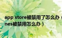 app store被禁用了怎么办（10月23日苹果appstore和iTunes被禁用怎么办）