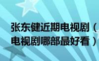 张东健近期电视剧（10月23日张东健主演的电视剧哪部最好看）