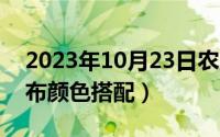 2023年10月23日农历是（10月23日主卧墙布颜色搭配）