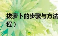 拔萝卜的步骤与方法（10月08日拔萝卜的教程）