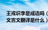 王戎识李是成语吗（10月08日《王戎识李》文言文翻译是什么）