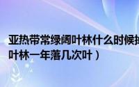 亚热带常绿阔叶林什么时候掉叶子（10月24日亚热带常绿阔叶林一年落几次叶）