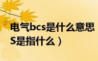 电气bcs是什么意思（10月24日电气标注BVS是指什么）