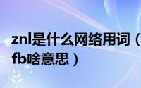 znl是什么网络用词（10月24日网络用语zn和fb啥意思）