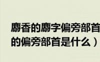 麝香的麝字偏旁部首是什么（10月24日麝香的偏旁部首是什么）