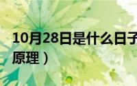 10月28日是什么日子（10月25日发条时钟的原理）