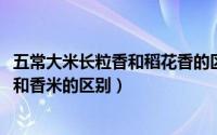 五常大米长粒香和稻花香的区别（10月08日五常大米长粒香和香米的区别）