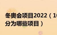 冬奥会项目2022（10月08日冬奥会项目主要分为哪些项目）