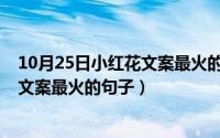 10月25日小红花文案最火的句子是什么（10月25日小红花文案最火的句子）