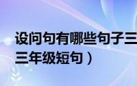 设问句有哪些句子三年级（10月25日设问句三年级短句）