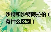 沙特和沙特阿拉伯（10月25日沙特和阿根廷有什么区别）