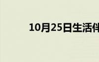 10月25日生活伴侣与夫妻的区别