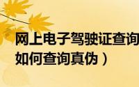 网上电子驾驶证查询（10月08日电子驾驶证如何查询真伪）