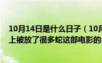 10月14日是什么日子（10月08日有一部电影的剧情里飞机上被放了很多蛇这部电影的名字是什么）