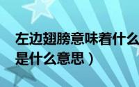 左边翅膀意味着什么（10月26日左半边翅膀是什么意思）