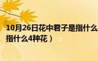 10月26日花中君子是指什么4种花名（10月26日花中君子是指什么4种花）