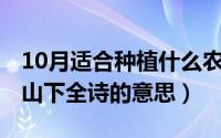 10月适合种植什么农作物（10月26日种豆南山下全诗的意思）