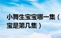 小舞生宝宝哪一集（10月26日小舞快要生宝宝是第几集）