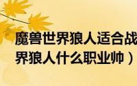 魔兽世界狼人适合战士吗（10月26日魔兽世界狼人什么职业帅）