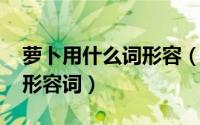 萝卜用什么词形容（10月08日什么样的萝卜形容词）