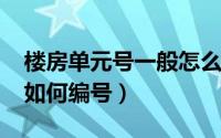 楼房单元号一般怎么编排（10月26日单元楼如何编号）