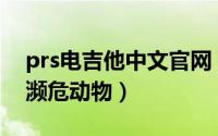 prs电吉他中文官网（10月27日世界12种最濒危动物）