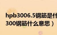 hpb3006.5钢筋是什么意思（10月27日hpb300钢筋什么意思）