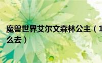 魔兽世界艾尔文森林公主（10月27日魔兽世界艾尔文森林怎么去）