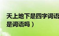 天上地下是四字词语吗（10月08日天上地下是词语吗）