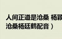 人间正道是沧桑 杨颖（10月28日人间正道是沧桑杨廷鹤配音）