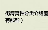 街舞舞种分类介绍图（10月08日街舞的分类有那些）