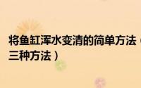 将鱼缸浑水变清的简单方法（10月28日鱼缸浑浊的水变清的三种方法）