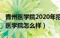 青州医学院2020年招生条件（10月28日青州医学院怎么样）