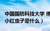 中国国防科技大学 博士（10月28日沙滩上的小红虫子是什么）