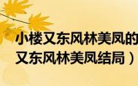 小楼又东风林美凤的扮演者（10月08日小楼又东风林美凤结局）